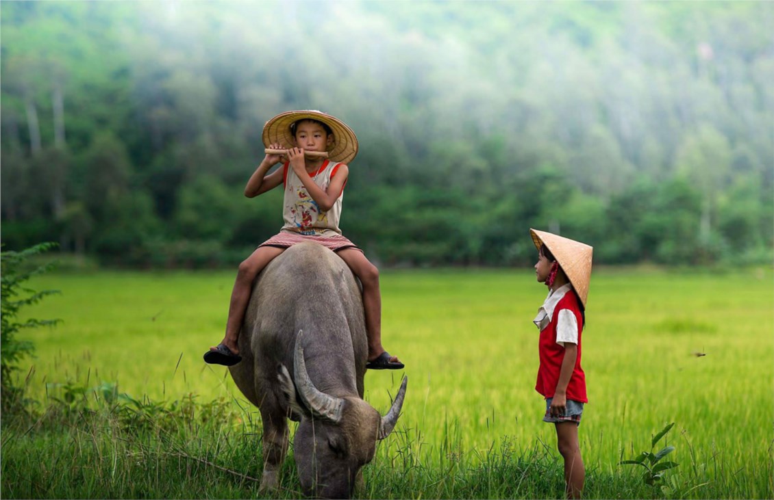 Ảnh đại diện